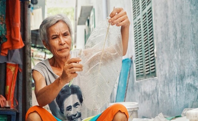 Thời điểm phù hợp, thuận lợi để hái được những chiếc lá bàng rừng đủ lớn, tiêu chuẩn là vào tháng 3 vì đây là mùa nắng, ít mưa, hơn nữa lá lớn tốt, ít bị sâu. Một chiếc nón là đẹp phải hội tụ nhiều yếu tố như sống lá phải đồng tâm, trên nón lá không có những điểm, vết đen…
