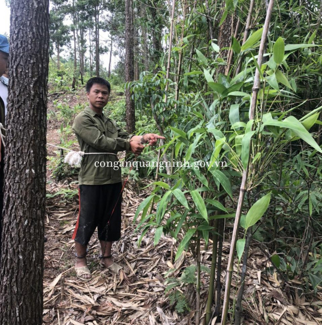 Nghi phạm thực nghiệm lại hiện trường - bụi cây nơi Thủ trốn để rình lúc anh Tr. đi qua ra tay sát hại