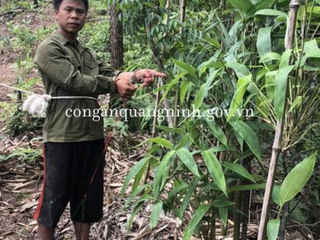 Pháp luật - "Lạc lối" bên tình trẻ, người vợ cùng tình nhân sát hại chồng dã man