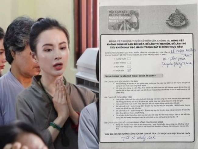 Hồi đầu năm nay, Angela Phương Trinh đã ký phát nguyện ăn chay trọn đời. Hành động bất ngờ của nữ diễn viên nhận được nhiều sự ủng hộ của fan. 
