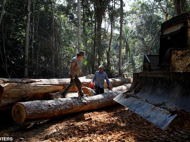 Thế giới - Nền văn minh nhân loại đứng trước bờ vực sụp đổ không thể đảo ngược?