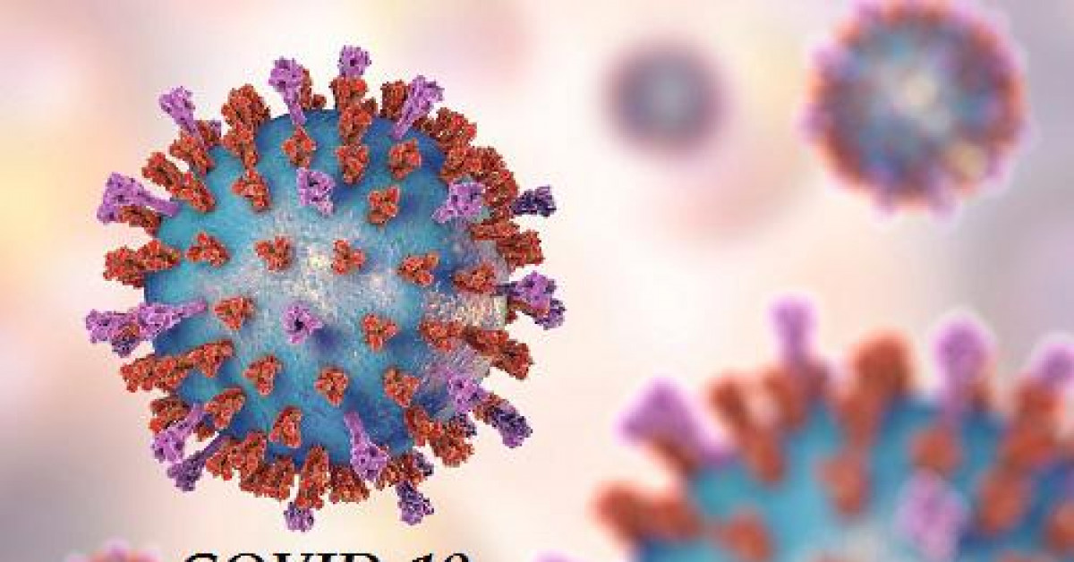 Sức khỏe đời sống - COVID-19 có thể dẫn đến gia tăng các ca tử vong do bệnh truyền nhiễm