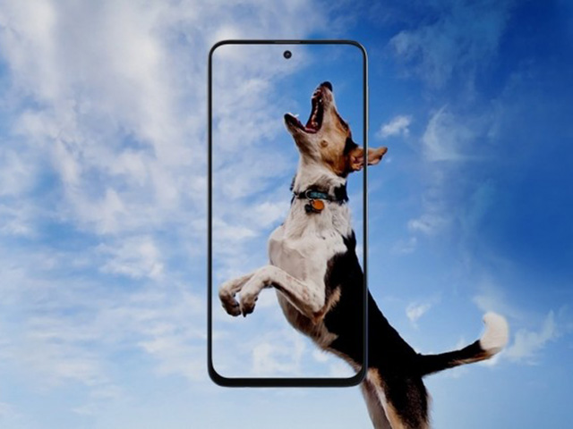 Thời trang Hi-tech - Samsung “trình làng” Galaxy M31s pin siêu lớn, giá phải chăng