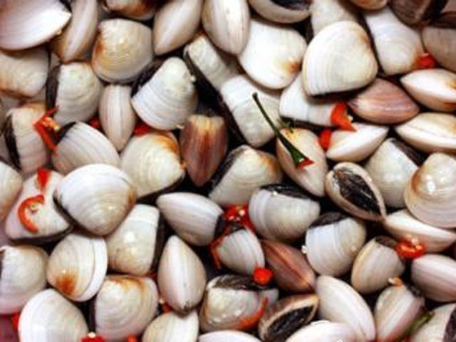 Ẩm thực - Dân biển bật mí mẹo đơn giản giúp ngao nhanh nhả sạch cát, cách cuối siêu nhanh ít mẹ đảm nào biết