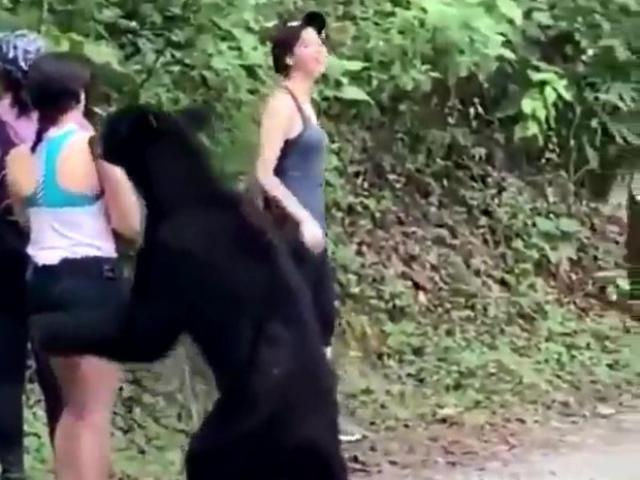 Media - Cô gái rút điện thoại ra selfie khiến cả gấu lẫn người xem đều...nín thở