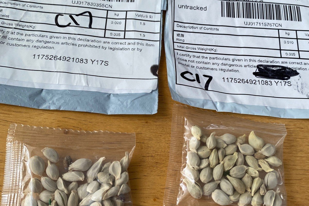 Các gói hạt giống bí ẩn từ Trung Quốc xuất hiện khắp nước Mỹ (ảnh: Daily Mail)