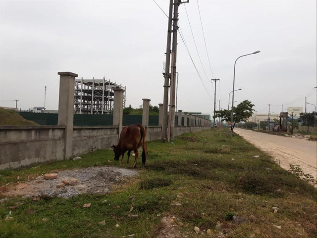 Kinh doanh - Lời giải nào cho khu công nghiệp: Vẽ cho nhiều... để bỏ hoang
