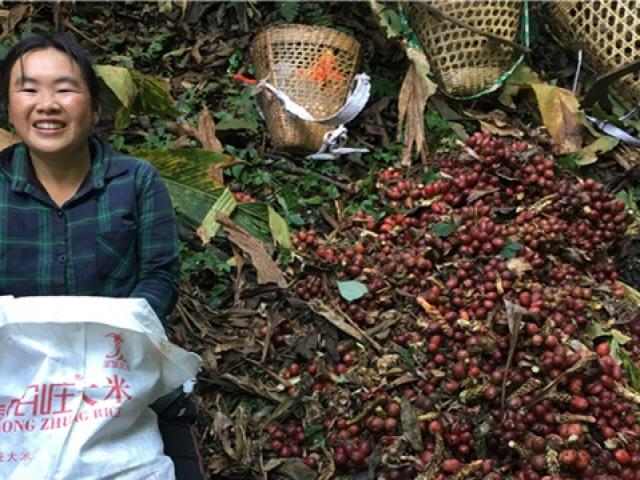 Thị trường - Tiêu dùng - Quyết định bất ngờ khiến cả làng "đổi đời", dân hồ hởi ôm trăm triệu về nhà