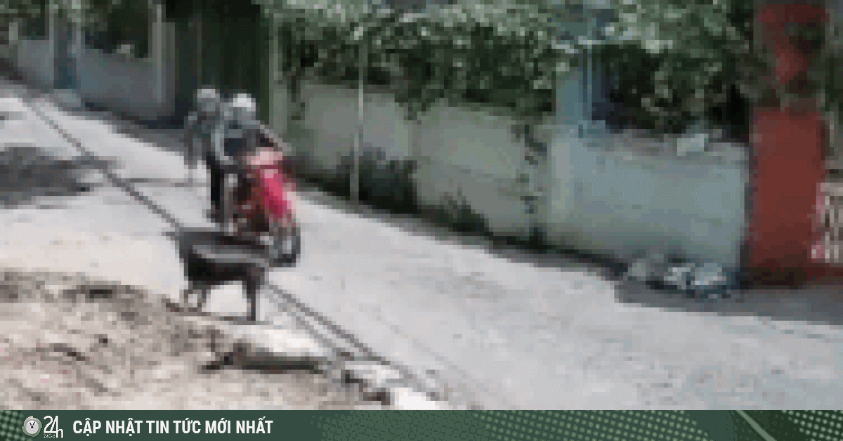 Video: 2 thanh niên táo tợn dùng dây thòng lọng trộm chó giữa ban ngày