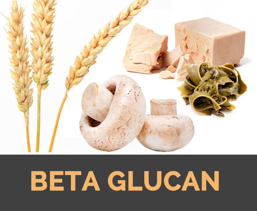 BETA GLUCAN – Hoạt chất kích hoạt hệ miễn dịch tự nhiên, tăng đề kháng vượt trội - 3