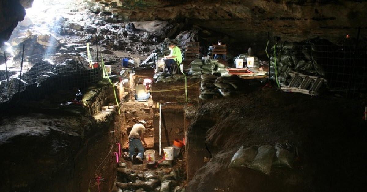 Các nhà khoa học khai tác trầm tích trong hang động Hall - ảnh: Đại học Texas A&amp;M