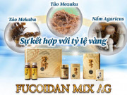 Khám phá sự kỳ diệu chỉ có ở Fucoidan UMI NO SHIZUKU