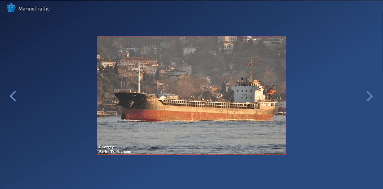 Hình ảnh tàu MV Rhosus trên cổng theo dõi MarineTraffic. Ảnh: RT