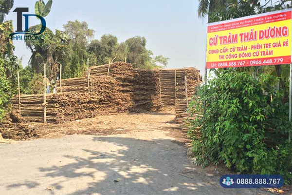 Hình ảnh tại Vựa Cừ Tràm Thái Dương