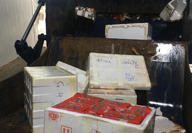 Gần 9 tấn dâu tây nhập lậu từ Trung Quốc đã được tiêu hủy
