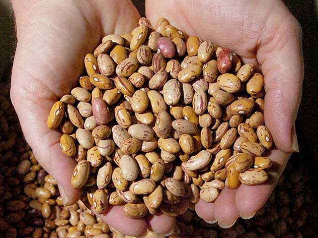 Thế giới - NÓNG nhất tuần: "Chân tướng" những gói hạt giống bí ẩn từ Trung Quốc gửi vào Mỹ