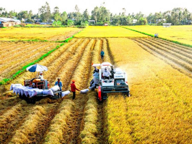 Thị trường - Tiêu dùng - Thứ cách đây mấy chục năm Việt Nam luôn thiếu, nay bán nhiều hàng đầu thế giới