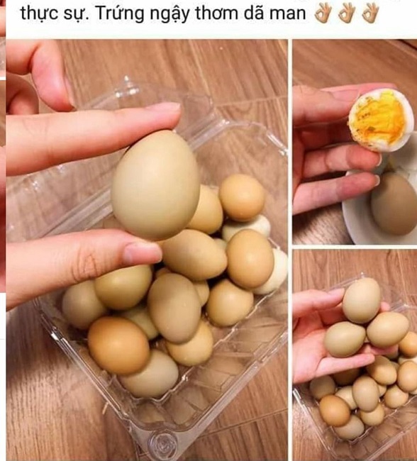 Loại trứng "đại bổ như sâm" đắt gấp 10 lần trứng gà, người mua phải đặt trước cả tuần - 5