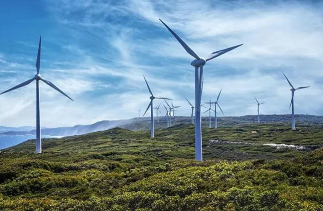 Dự án điện gió tại Bạc Liêu do Công ty Phương Anh làm chủ đầu tư có tổng vốn đầu tư lên đến hơn 5.200 tỷ đồng. Ảnh minh họa