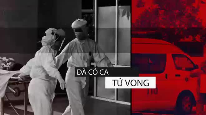 Bản tin tổng hợp COVID-19 tính đến trưa ngày 12-8