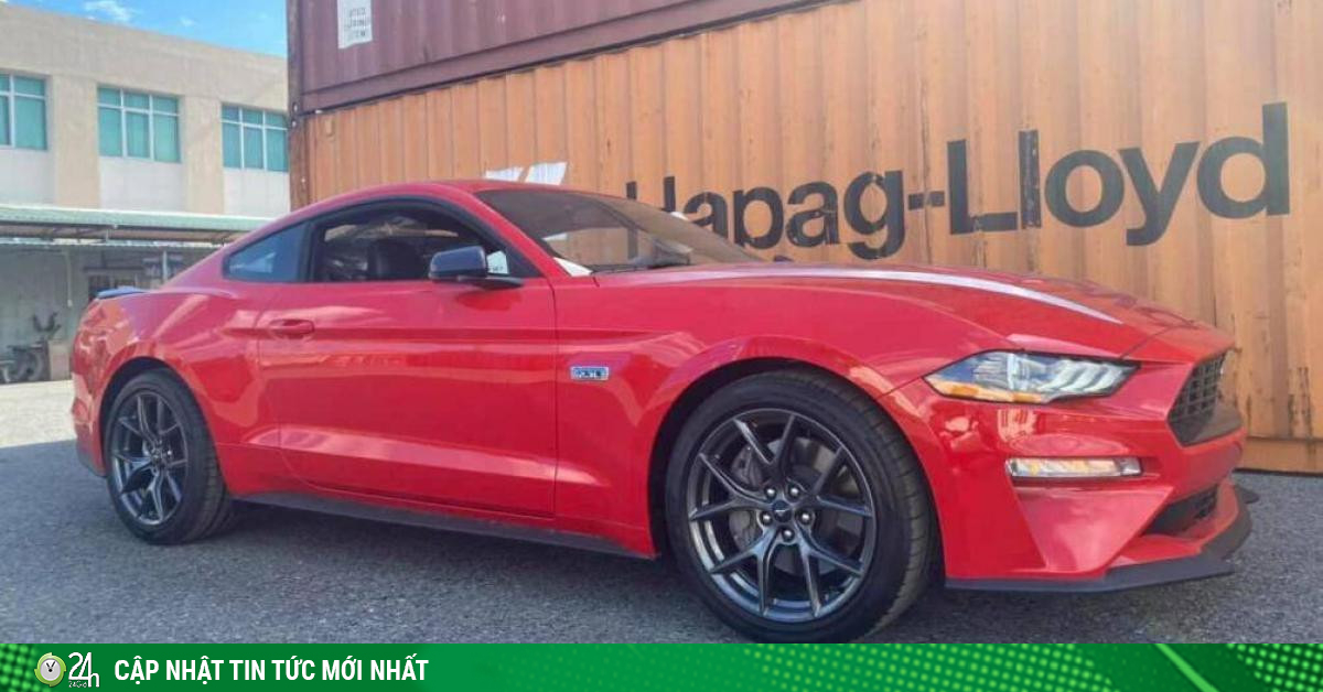 Siêu xe hàng hiếm Ford Mustang cập bến Việt Nam, giá từ 2,8 tỷ đồng