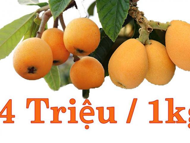 Thị trường - Tiêu dùng - Cây mọc dại ven đường đột nhiên "sốt" 4 triệu/kg, người bán thu tiền mỏi tay