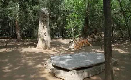 Nơi Võ Tòng đả hổ