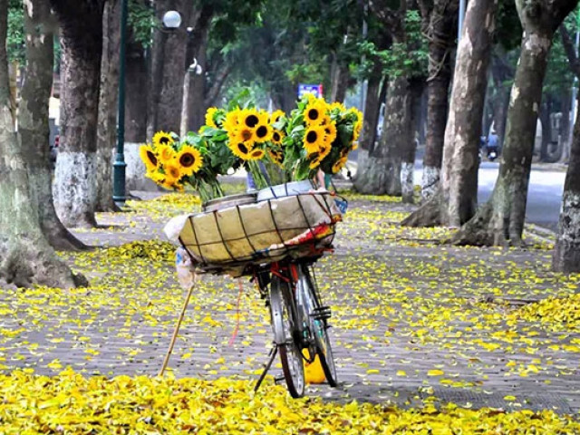 Du lịch - Thu Hà Nội - sống chậm trong mùa dịch