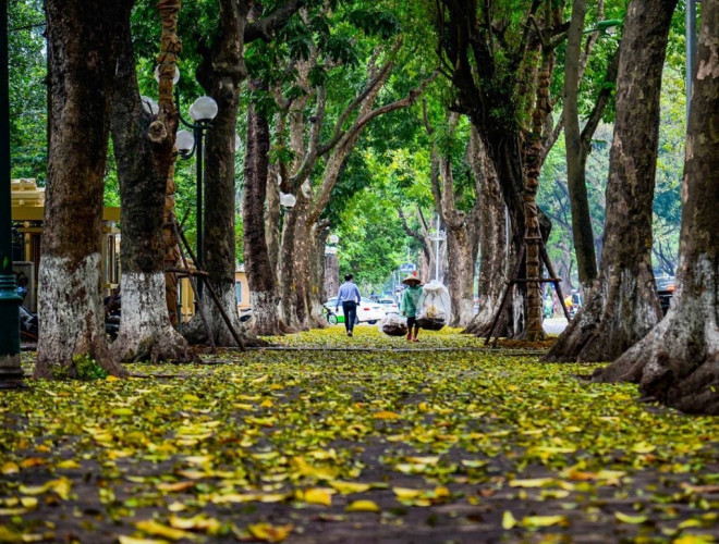 Thu Hà Nội - sống chậm trong mùa dịch - 1