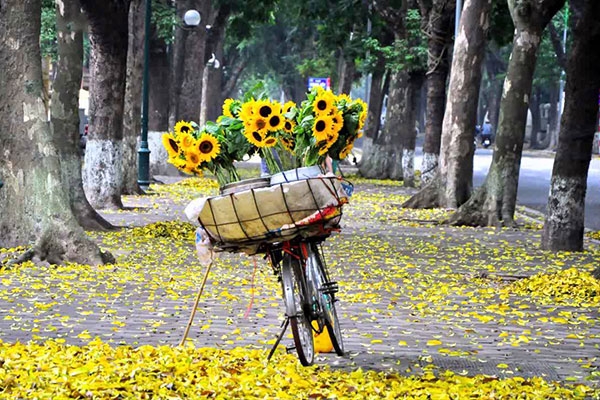 Thu Hà Nội - sống chậm trong mùa dịch - 4