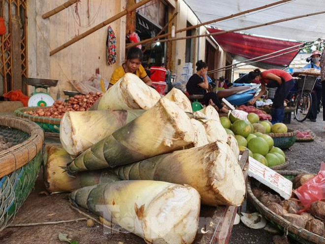 Theo các tiểu thương, măng tươi được chuyển từ các tỉnh vùng cao Bắc Giang, Tuyên Quang, Lạng Sơn… đưa về các chợ truyền thống ở Hà Nội.