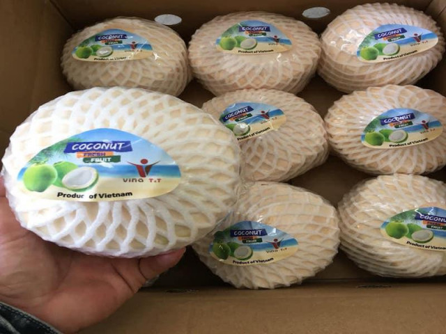Thị trường - Tiêu dùng - Ngạc nhiên khi Thái Lan nhập khẩu dừa từ Việt Nam tăng 300%