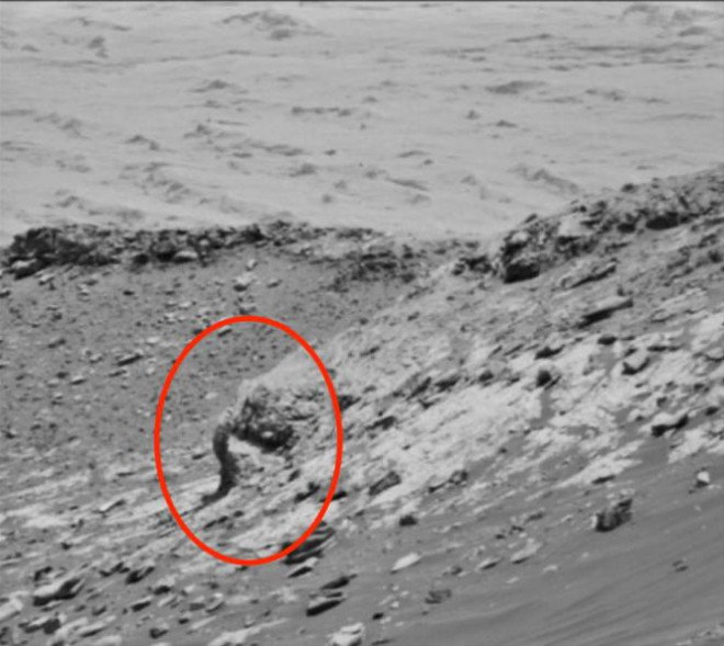 Thợ săn UFO tuyên bố phát hiện 'voi' trên... sao Hỏa - 2