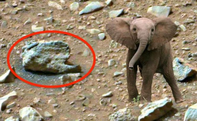 Thợ săn UFO tuyên bố phát hiện 'voi' trên... sao Hỏa - 3