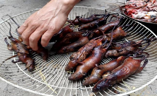 Trên thực tế, hầu hết khách nước ngoài cho rằng chuột là những con vật bẩn thỉu, hôi hám, mang bệnh tật và cần phải tránh xa.

