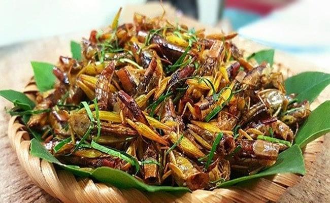 Còn ở Việt Nam, chúng lại là món nhắm được nhiều người ưa chuộng. Châu chấu có giá bán khoảng 250.000 đồng/kg, bọ xít giá từ 300 - 500 nghìn đồng/kg, dế có giá rẻ nhất, chỉ từ 180 - 200.000 đồng/kg.
