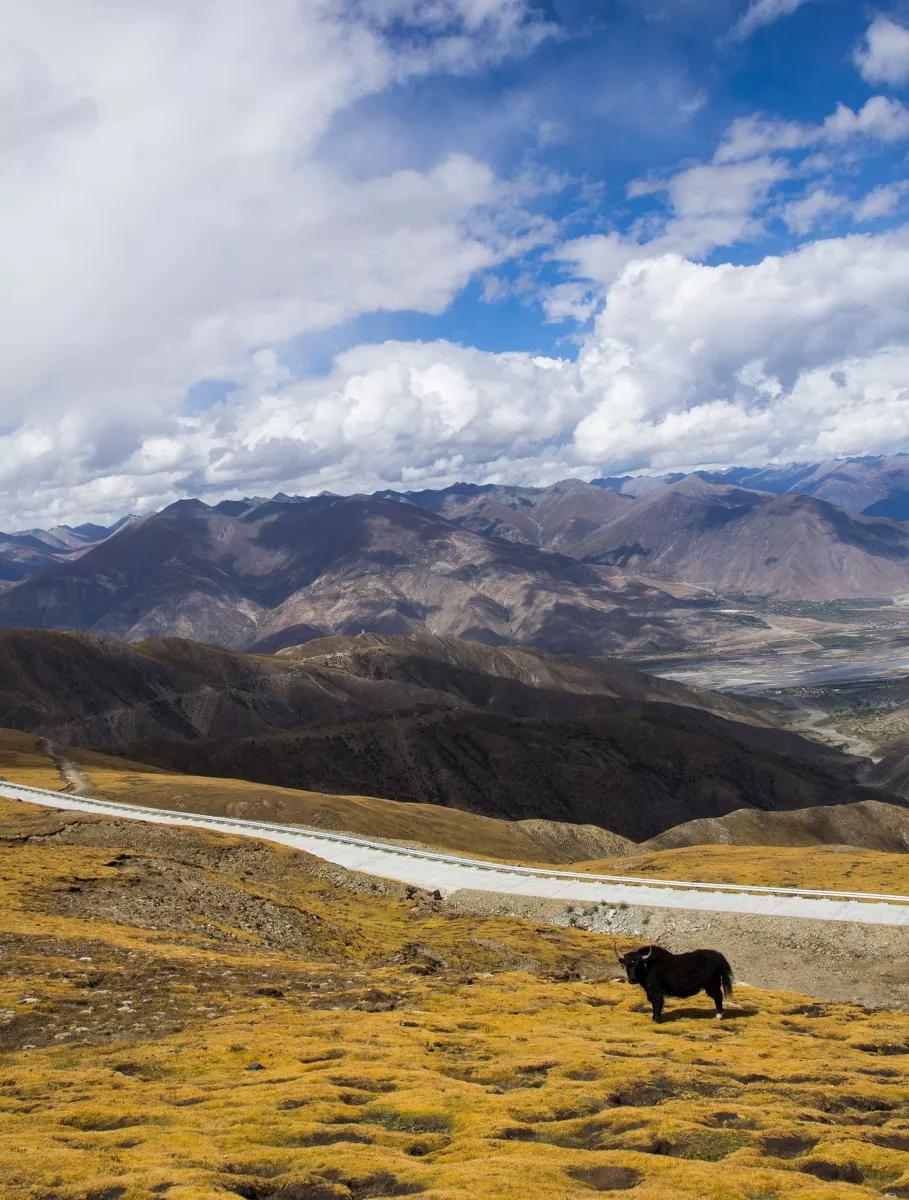 Chiêm ngưỡng vẻ đẹp Tây Tạng say đắm lòng người - 14