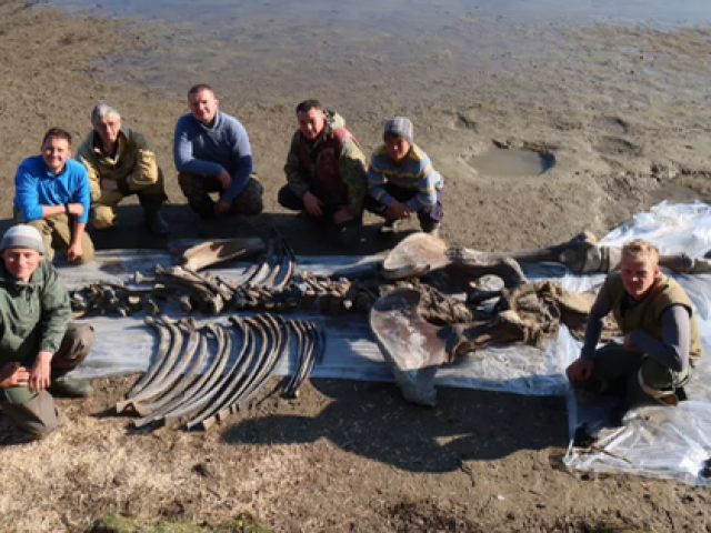 Du lịch - Chăn tuần lộc, gặp đầu lâu "quái thú" khổng lồ nổi lên giữa hồ