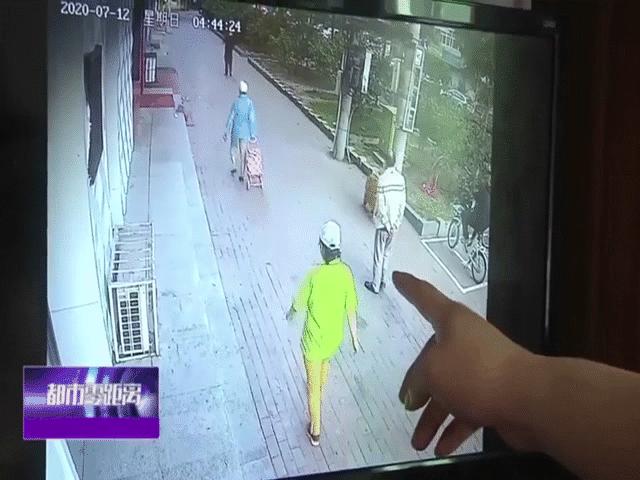 Phi thường - kỳ quặc - Video: Đang dắt chó đi dạo, cụ ông bị mèo "hạ cánh" trúng đầu và hậu quả không ai ngờ tới