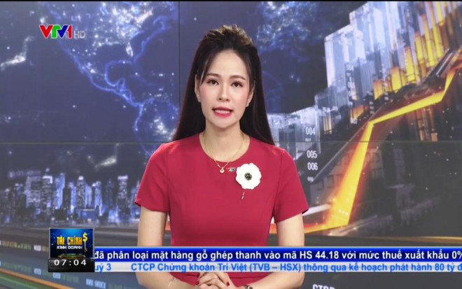 BTV Thu Hương thay mặt ban biên tập chương trình nói lời xin lỗi trên sóng truyền hình. Ảnh chụp màn hình.&nbsp;