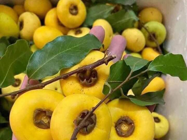 Thị trường - Tiêu dùng - Thị sáp, hoa cau nguyên bẹ đắt hàng ngày mùng 1 mùa Vu Lan