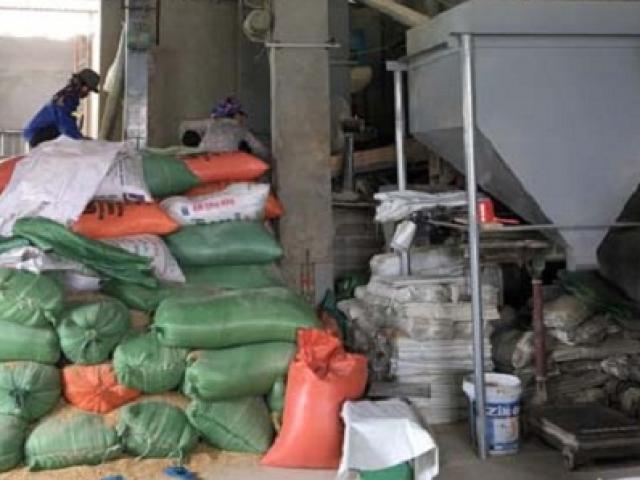 Kinh doanh - Liều mình đi kinh doanh "rác thải", 8X thu cả trăm triệu đồng mỗi tháng