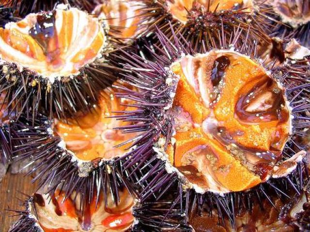 Thị trường - Tiêu dùng - Vẻ ngoài xấu xí nhìn sợ khiếp vía, những thứ này vẫn được lùng mua giá "ngất ngưởng"
