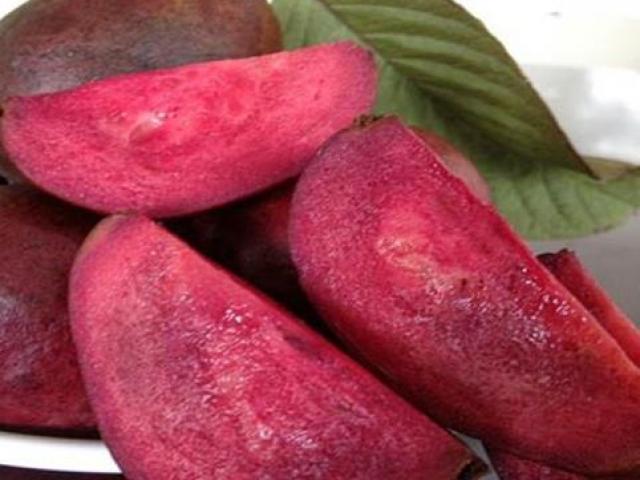 Thị trường - Tiêu dùng - Kì lạ giống ổi thâm tím, bổ ra nhìn như thanh long đang được bán ở Việt Nam