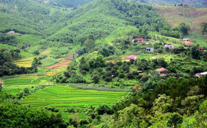 Xanh mát miền cao Sơn Động