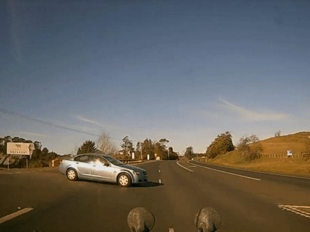 Media - Liều lĩnh qua đường, ô tô bị tông vỡ đầu