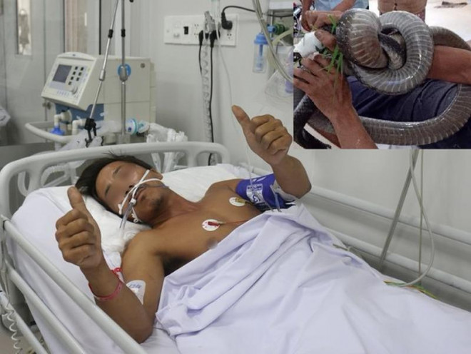 Anh PVT (Tây Ninh) người bị rắn cắn và đang cấp cứu tại Bệnh viện Chợ Rẫy. Ảnh: Hoàng Lan