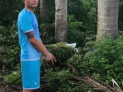 Pháp luật - Hé lộ thân thế của đối tượng trộm 350 cây vàng ở Sơn Tây