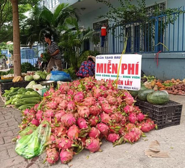 Người đàn ông bán rau lạ lùng và "khùng" nhất Việt Nam - 6