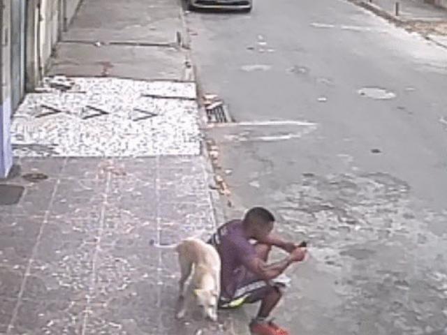 Media - Nam thanh niên bị chú chó tè lên người và cái kết có hậu cho màn gặp gỡ éo le